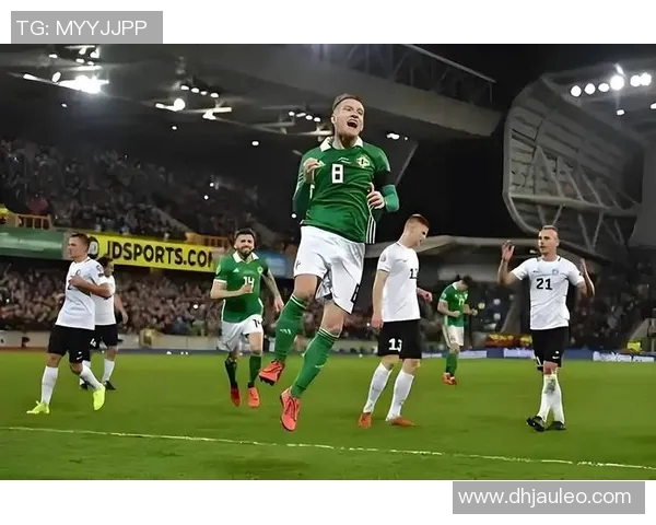 爱尔兰迎战奥地利世预赛激战在即球迷期待精彩对决